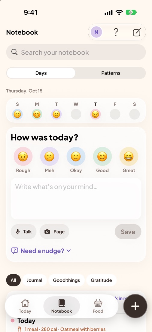 Notebook Days: the week's mood faces and How was today?